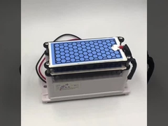 Produsen sertifikasi CE generator ozon baru 10g piring keramik ganda umur panjang bagian ozon