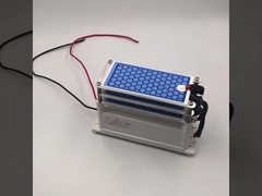 AC 220V 15g/jam Keramik Ozone Plate Untuk Ozone Disinfection Machine